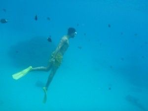 L’illa de Zamami i els seus esculls de coral!  座間味島とそのサンゴ礁