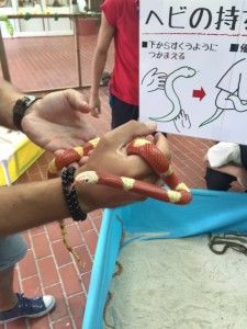 El sud d’Okinawa: Okinawa World i el Parc del memorial de la Pau – 沖縄の南