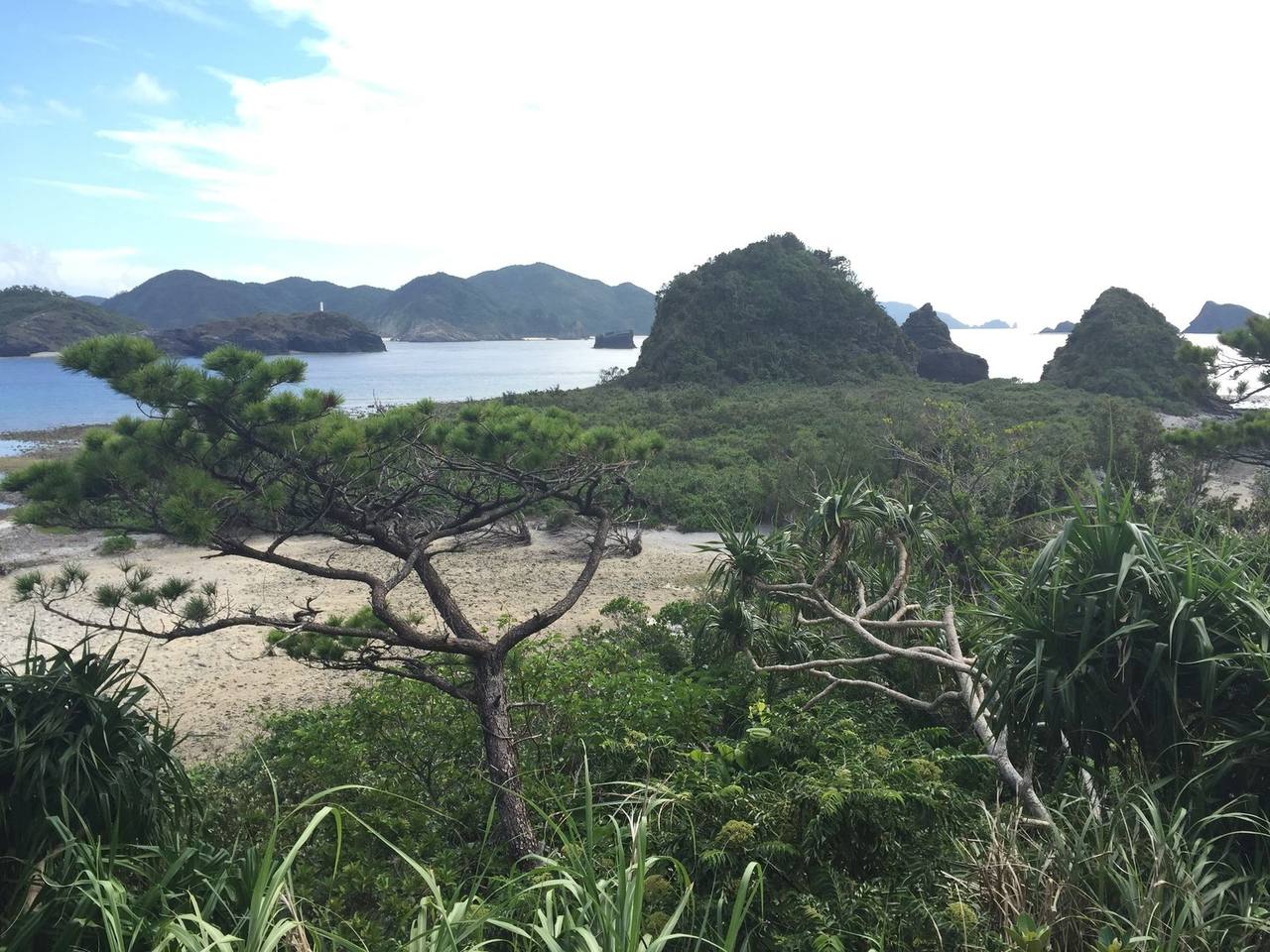 L’illa de Zamami i els seus esculls de coral!  座間味島とそのサンゴ礁