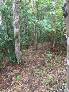 El nord d’Okinawa: del aquari de Churaumi fins al Cap Hedo – 沖縄の北